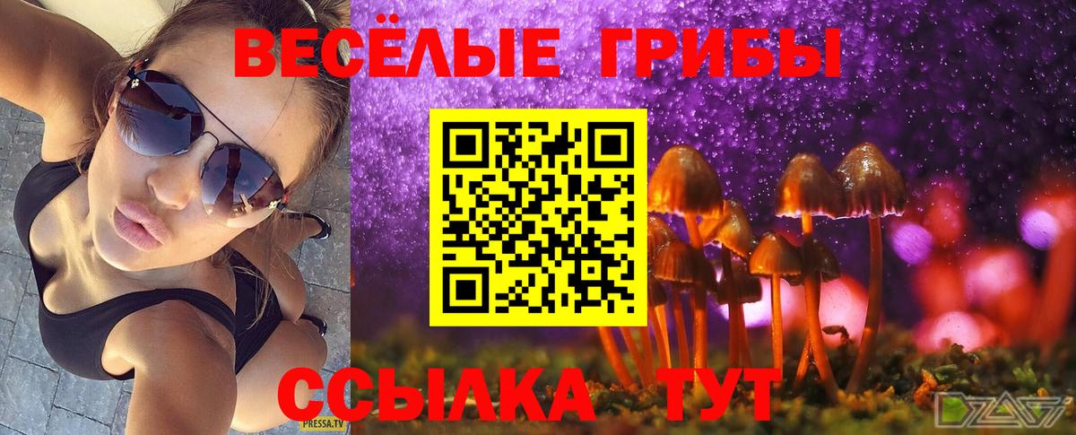 Галлюциногенные грибы прущие грибы Сафоново